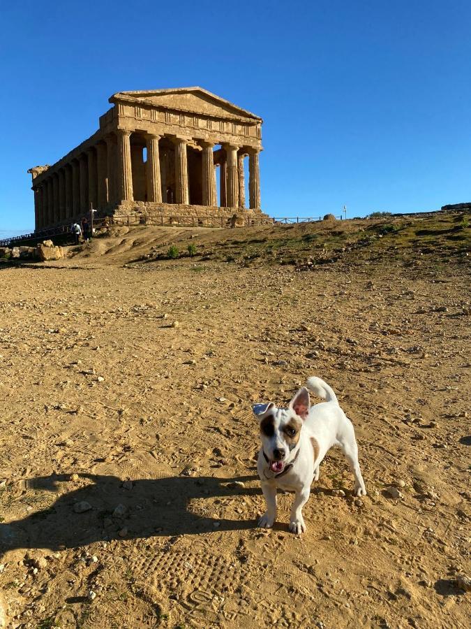 Akragaroom Agrigento Exteriér fotografie