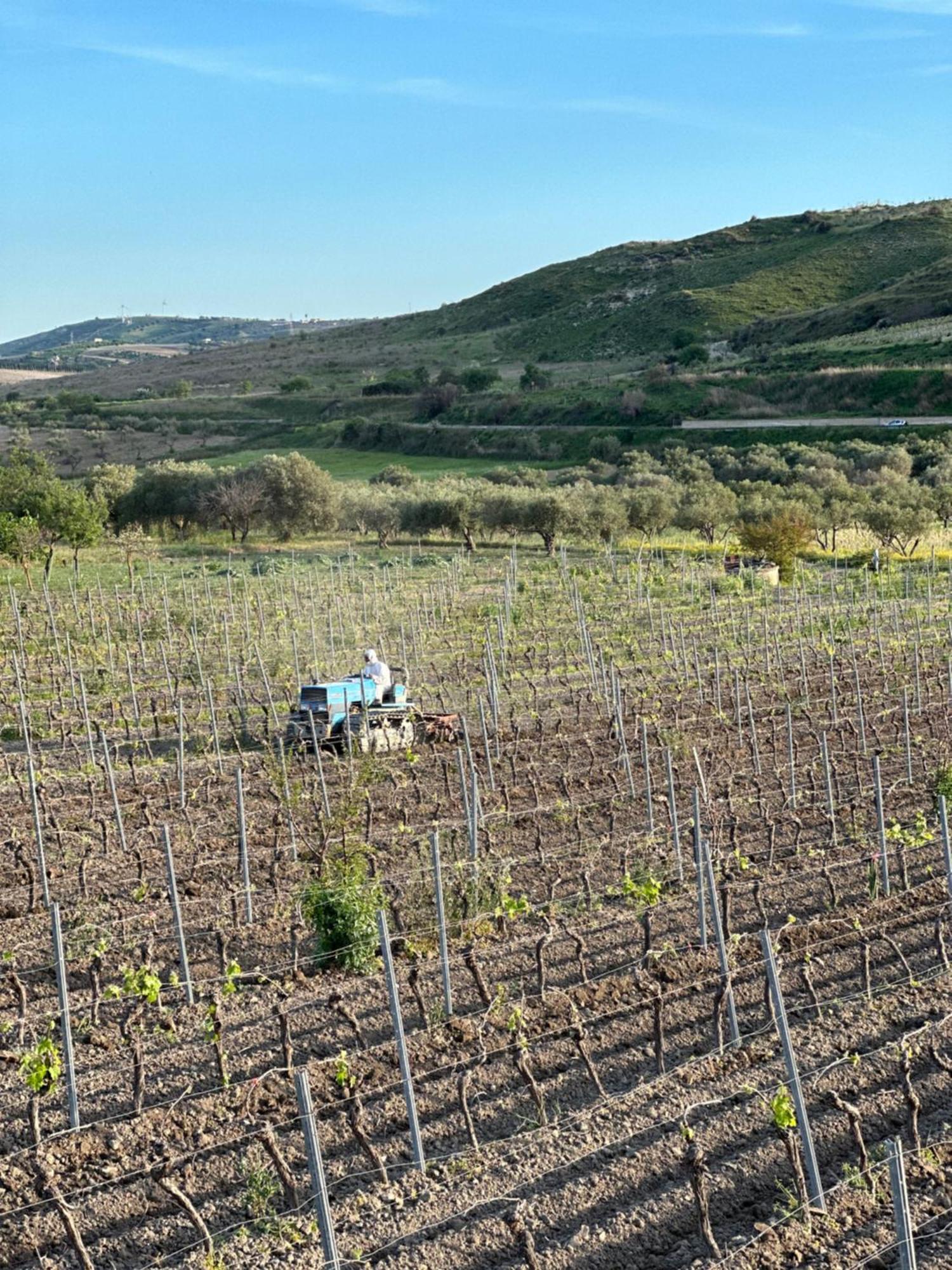 Akragaroom Agrigento Exteriér fotografie